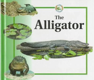 The alligator