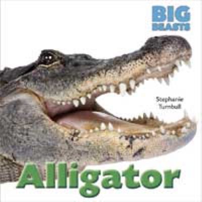 Alligator