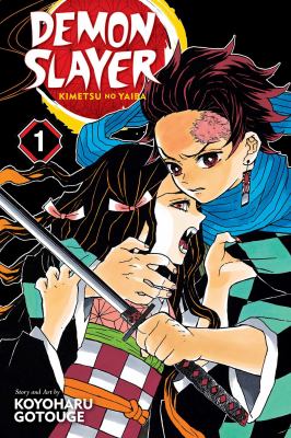 Demon slayer. vol.01. : kimetsu no yaiba /